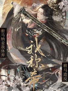 驸马仵作