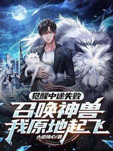 觉醒召唤阵容