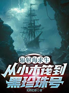 辐射岛解说视频第一期