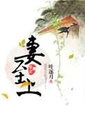 神秘军爷宠妻至上