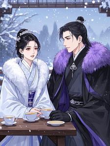 冷王的神秘贵妻