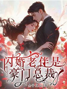 总裁是闪婚老公