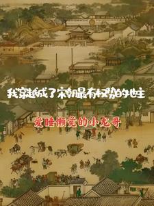 我成了宋仁宗之子txt