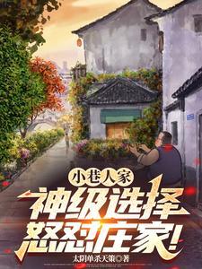 小巷人生简谱