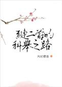 红楼琏二爷的科举之路txt