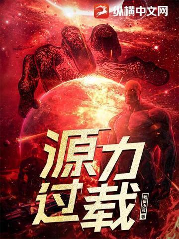 源力过载笔趣阁