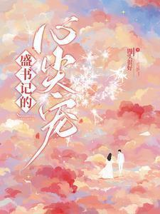 盛书记的心尖宠讲的什么