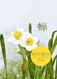 蝉壳中药的功效与作用