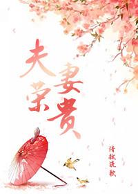 夫荣妻贵短剧免费播放