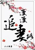 追妻路漫漫漫
