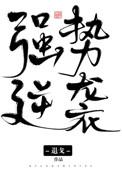 强势逆袭退哥