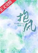 抱风片