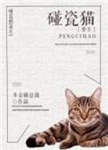 巨胃猫总在碰瓷番外篇