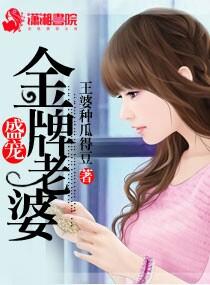 盛宠妻宝晋江文学城