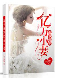暖婚蜜宠萧少狂宠娇妻