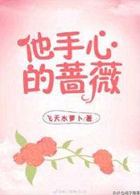 他手心的蔷薇txt