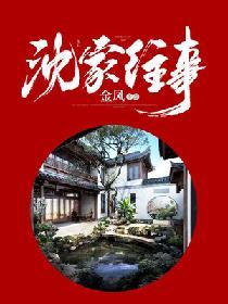 沈家最后什么下场