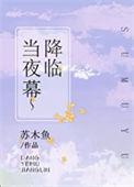 当夜幕降临前