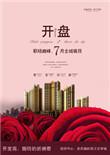 开盘是房子已经建好了吗