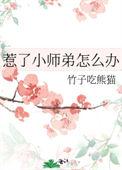 惹了小师弟怎么办资源