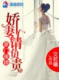豪门总裁之暖妻请负责