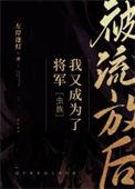 被流放的将军