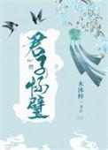 君子怀璧by木沐梓txt