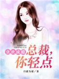 总裁贪欢轻一点全文免费