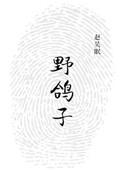 野鸽子叫声