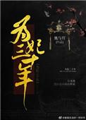 为妃三十年TXT资源