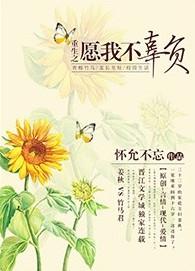 重生之不负顾城