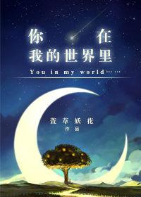 电视剧你在我的世界里