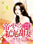 深度蜜爱 帝少的私宠暖妻