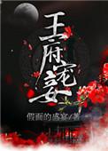 王府宠妾 假面的盛宴笔趣阁