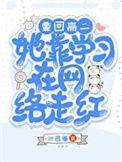 重回高二无防盗雨落窗帘