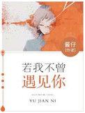 如果我不曾经遇见你