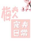 梅夫人宠夫日常百度