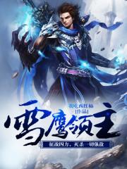 雪鹰领主讲的是什么故事