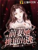 全球通缉令老婆离婚无效免费阅读