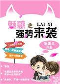 魅惑力什么意思