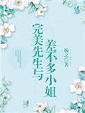 完美先生和差不多小姐吧