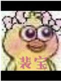 裴宝广播剧讲的什么
