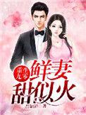 重生九零之华丽甜妻