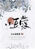小豆蔻讲的什么故事