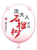 沈大人家的石榴树35章