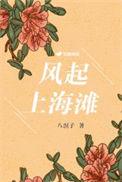 风起上海滩1—42集免费
