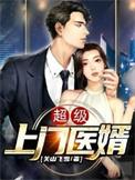 超级上门医婿 秦凡