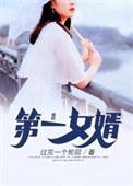 第一女婿TXT电子书免费