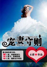 宠妻法则全文免费阅读