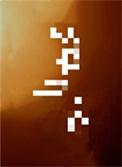 笼中月作者的